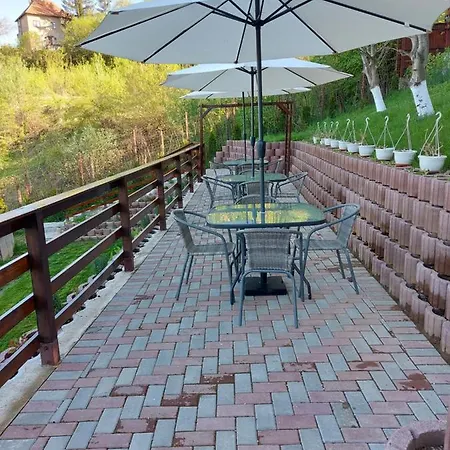 Matei Brasov