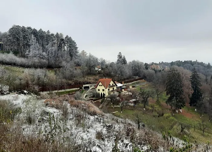 Matei Апартаменти *