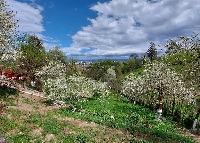 Апартаменти Matei *